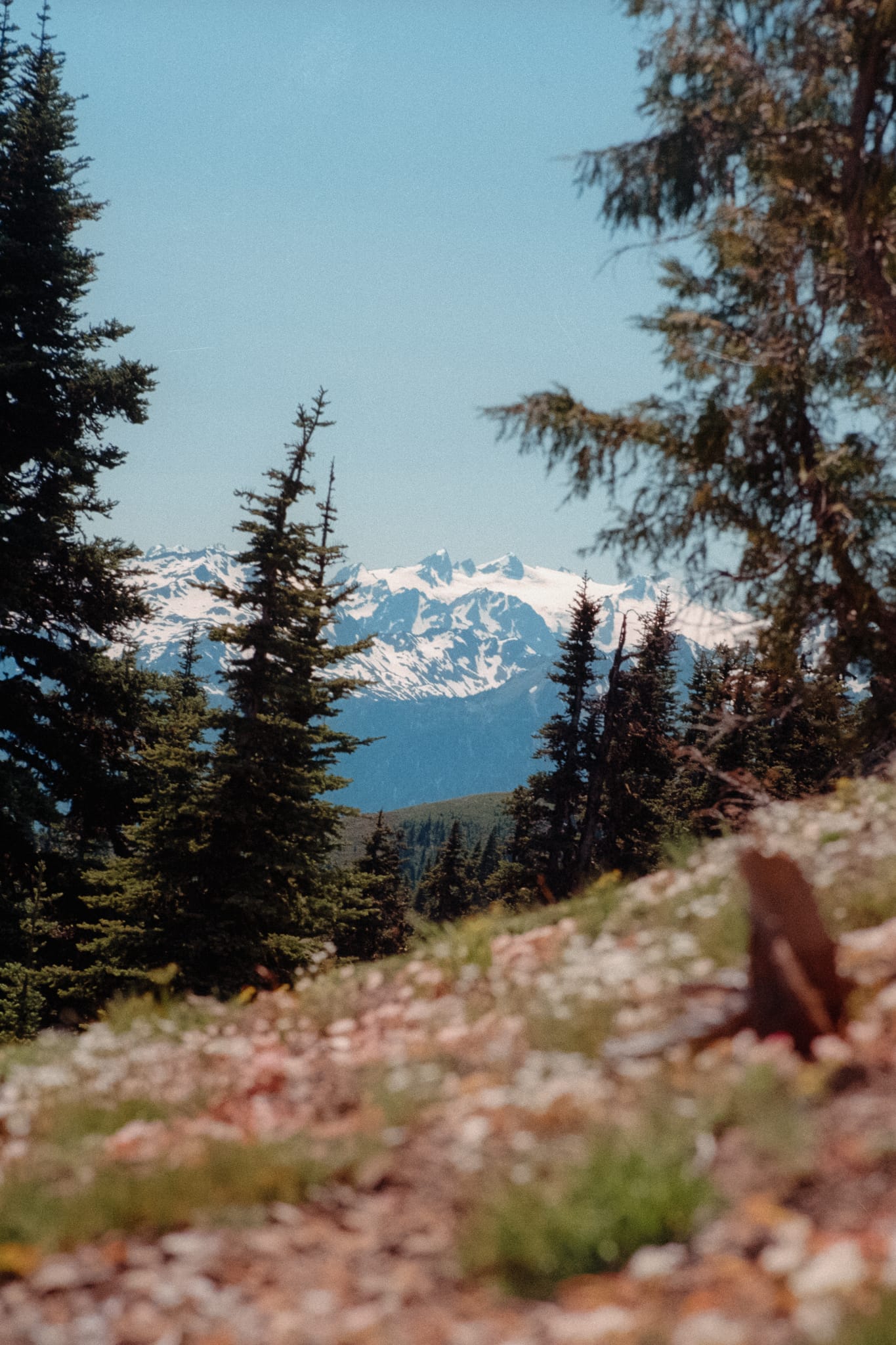 Olympic National Park