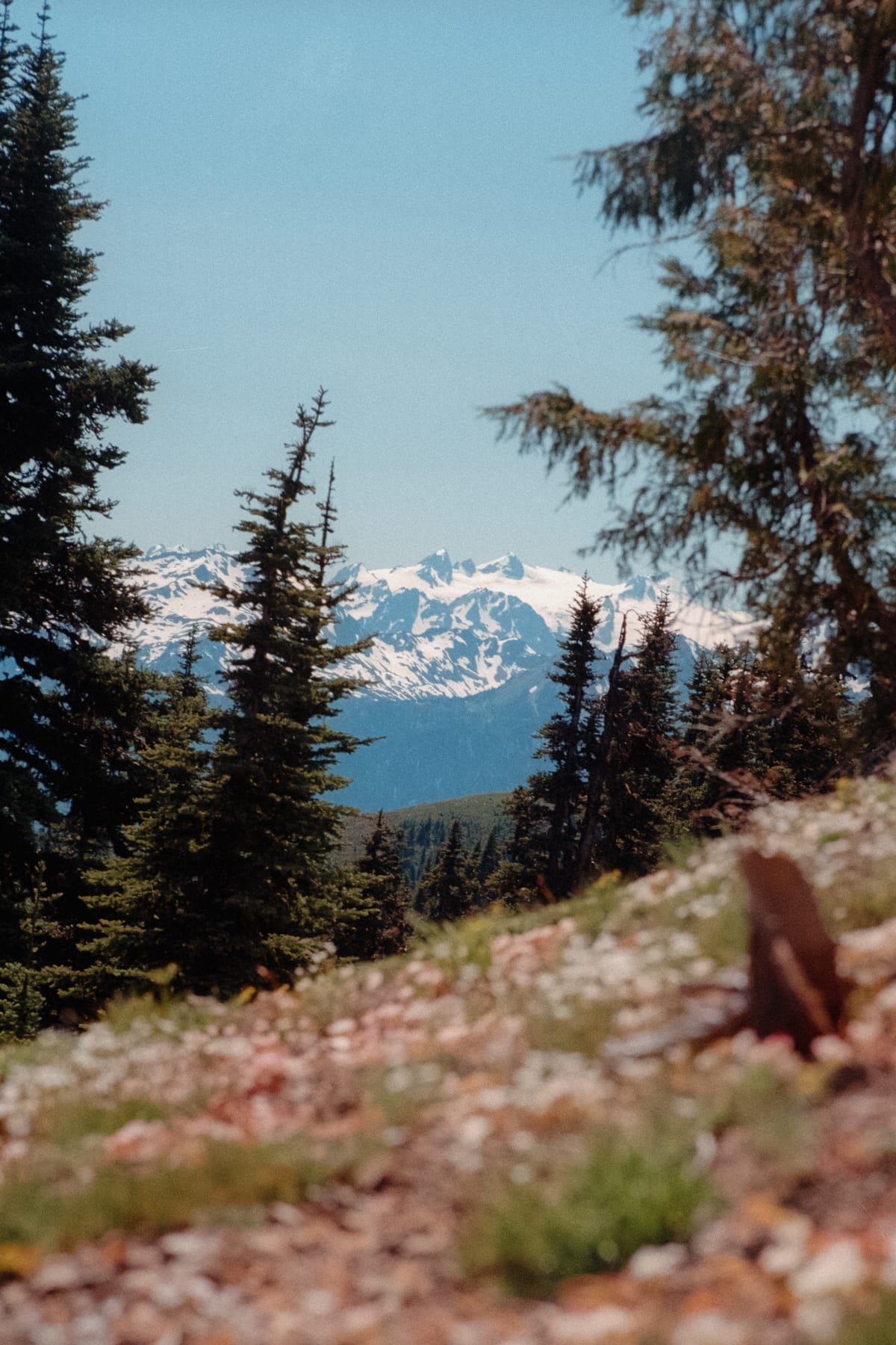 Olympic National Park